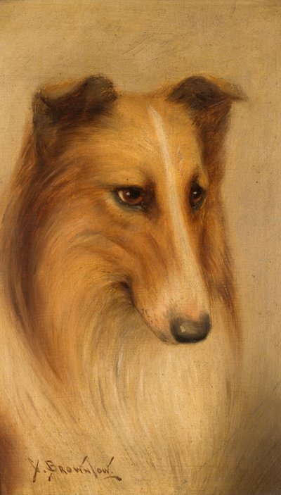 Collie by George Washington Brownlow